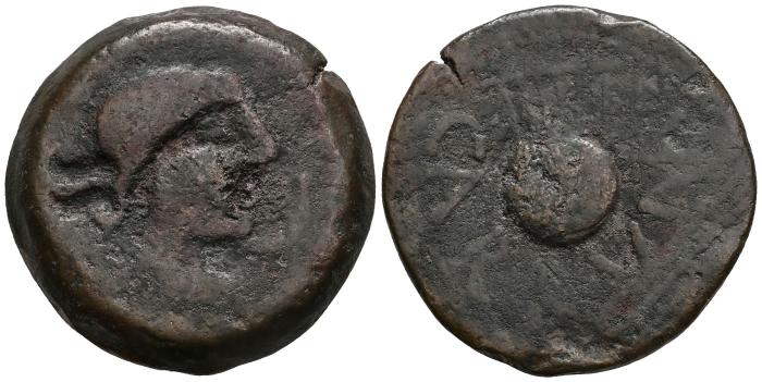 Celtiberian Coins
