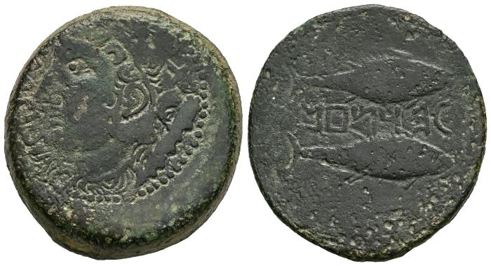 Celtiberian Coins