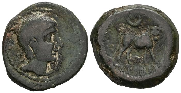 Celtiberian Coins