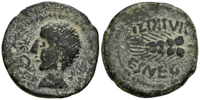 Celtiberian Coins