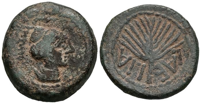 Celtiberian Coins