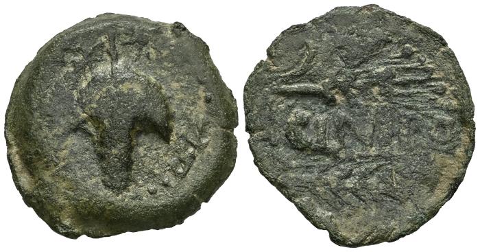 Celtiberian Coins