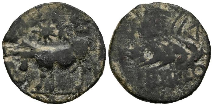 Celtiberian Coins