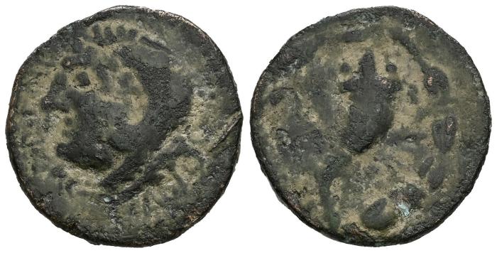 Celtiberian Coins
