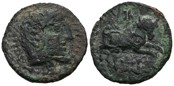 Celtiberian Coins