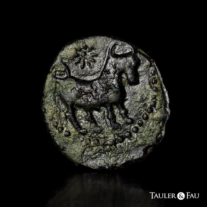 Celtiberian Coins