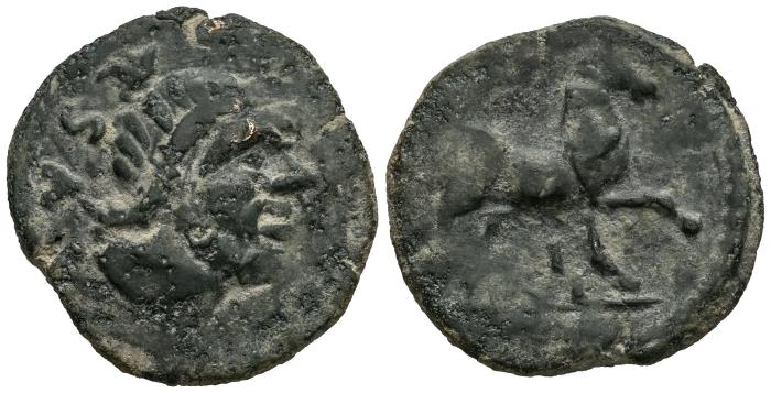 Celtiberian Coins
