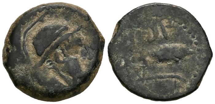 Celtiberian Coins