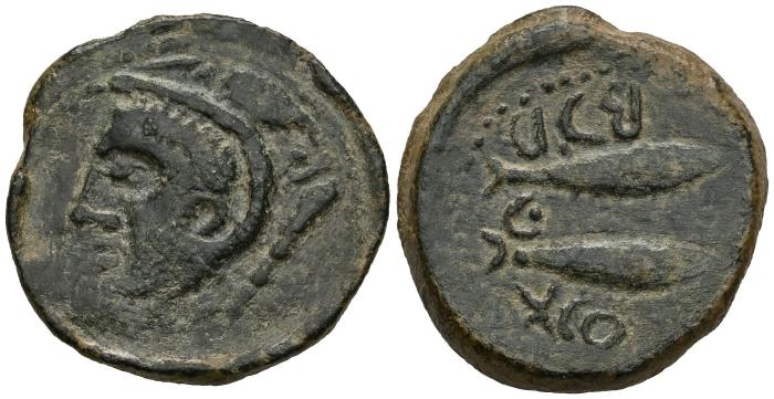 Celtiberian Coins