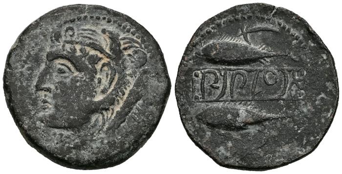 Celtiberian Coins