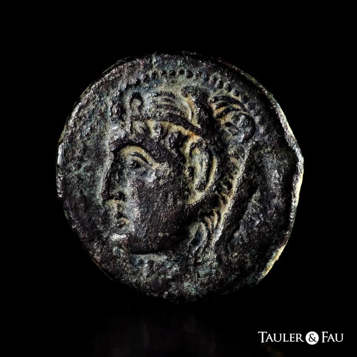 Celtiberian Coins