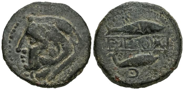 Celtiberian Coins