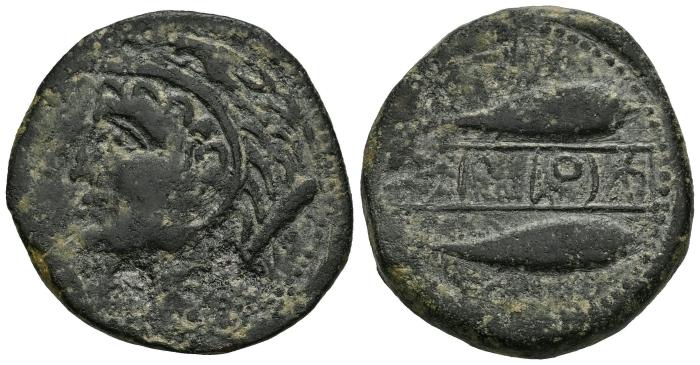 Celtiberian Coins