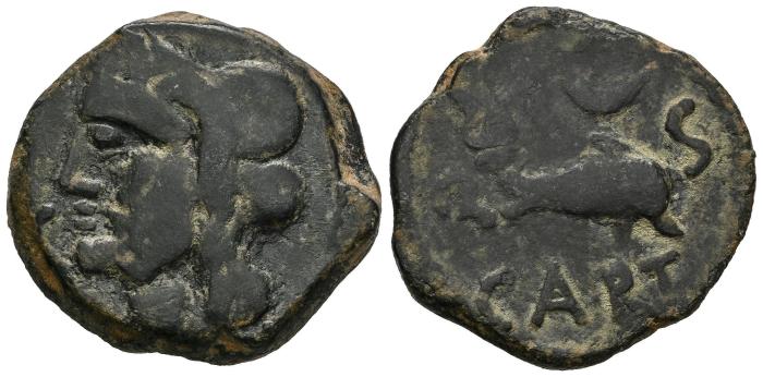 Celtiberian Coins