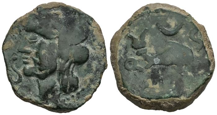 Celtiberian Coins