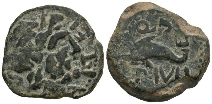 Celtiberian Coins