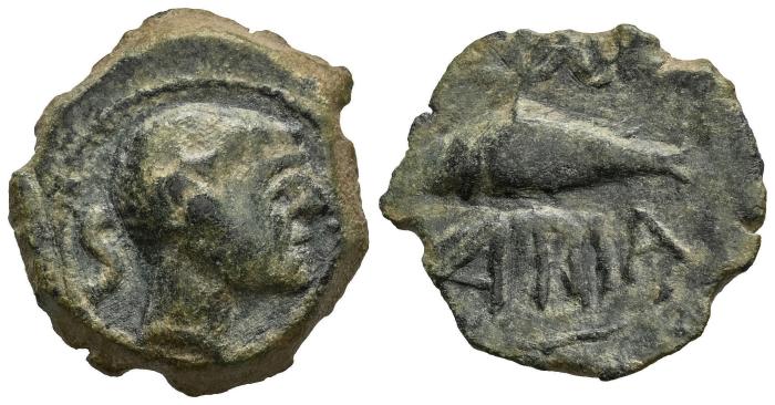 Celtiberian Coins