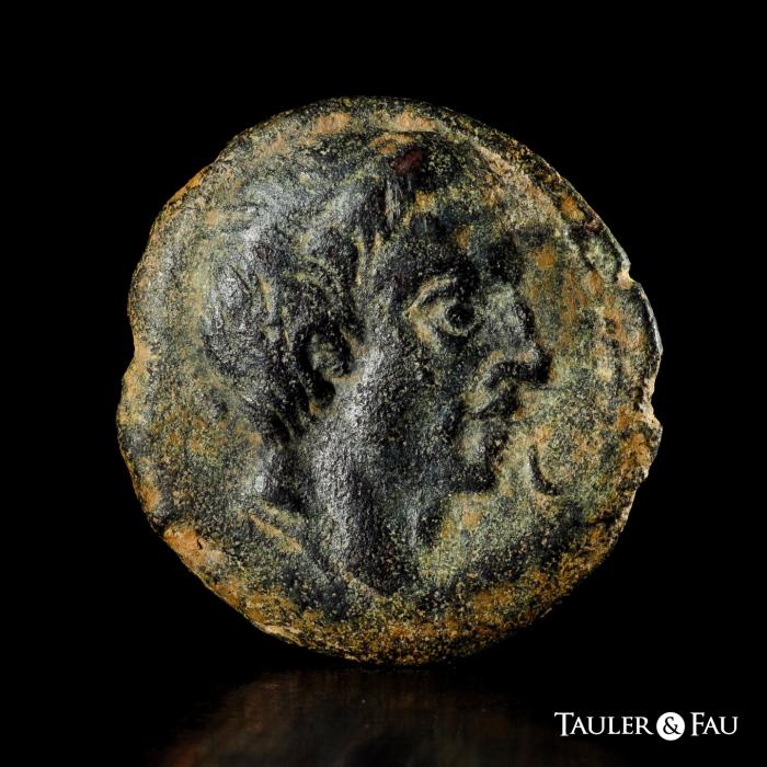 Celtiberian Coins