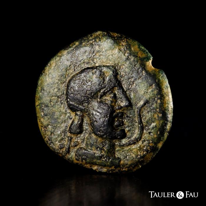 Celtiberian Coins