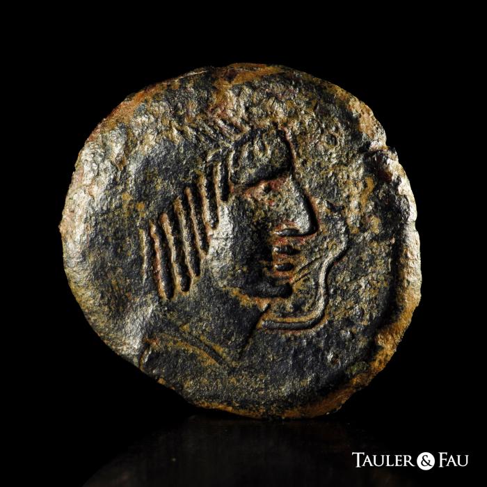 Celtiberian Coins