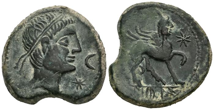 Celtiberian Coins