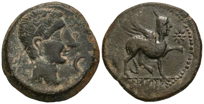 Celtiberian Coins