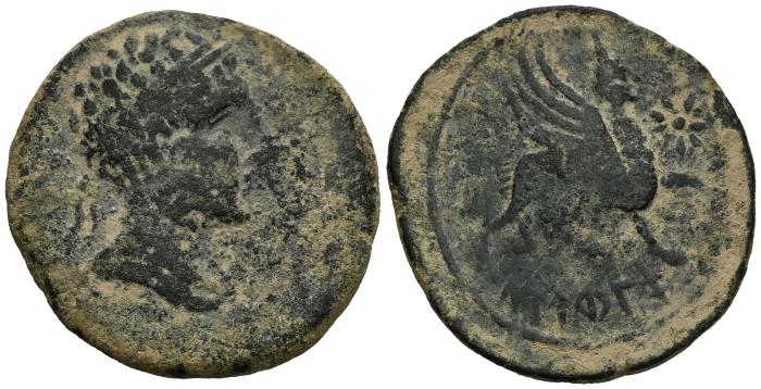Celtiberian Coins