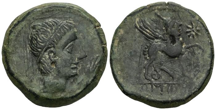 Celtiberian Coins