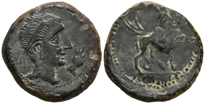Celtiberian Coins