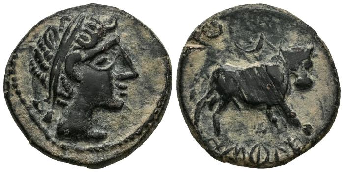 Celtiberian Coins