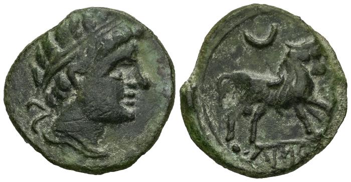 Celtiberian Coins