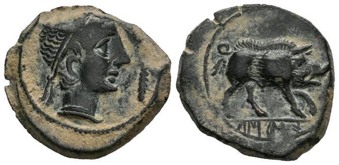 Celtiberian Coins