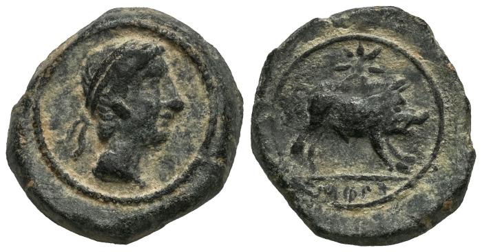 Celtiberian Coins
