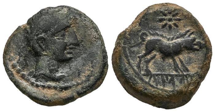 Celtiberian Coins