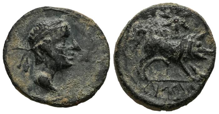 Celtiberian Coins