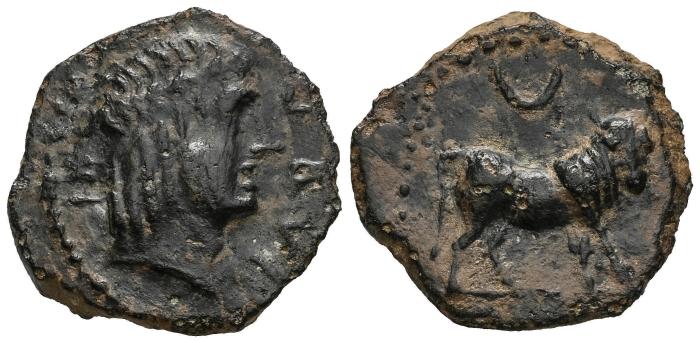 Celtiberian Coins