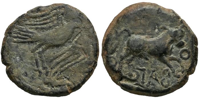 Celtiberian Coins