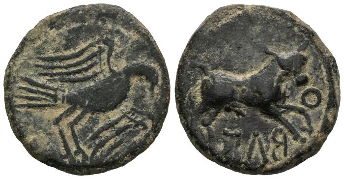 Celtiberian Coins