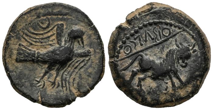 Celtiberian Coins