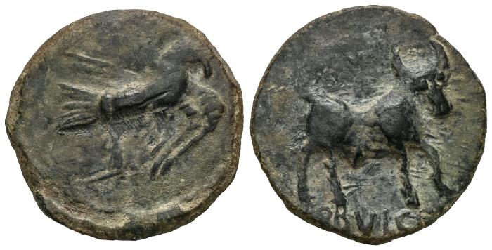 Celtiberian Coins