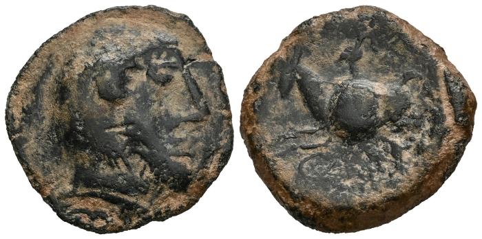 Celtiberian Coins