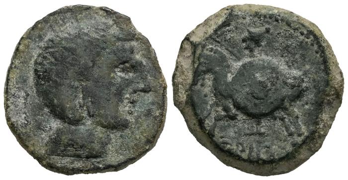 Celtiberian Coins