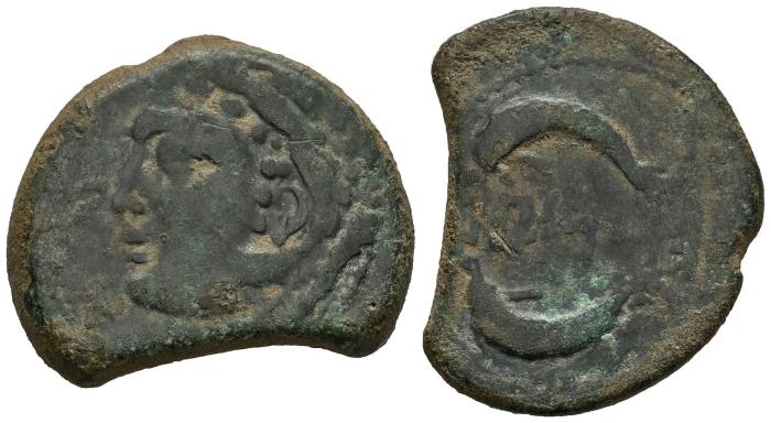 Celtiberian Coins