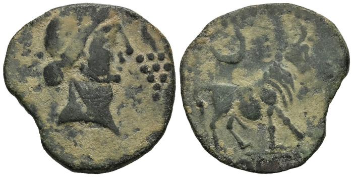 Celtiberian Coins