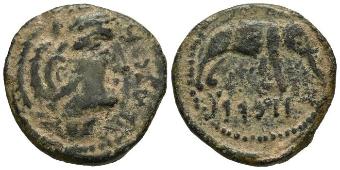 Celtiberian Coins