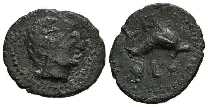 Celtiberian Coins