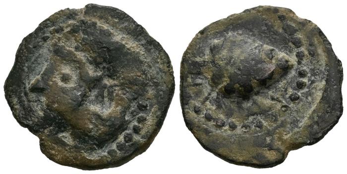 Celtiberian Coins