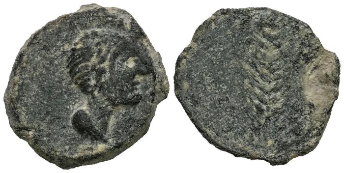 Celtiberian Coins