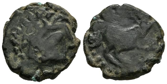 Celtiberian Coins