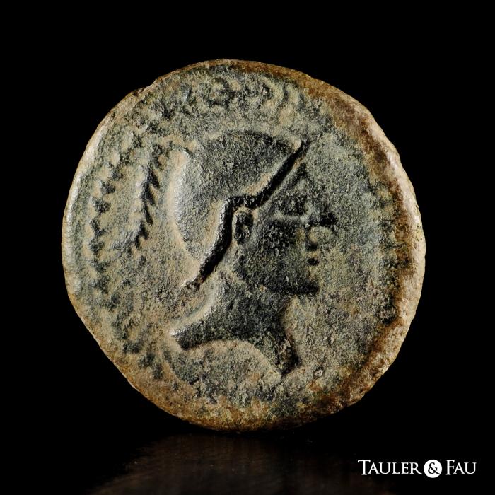 Celtiberian Coins